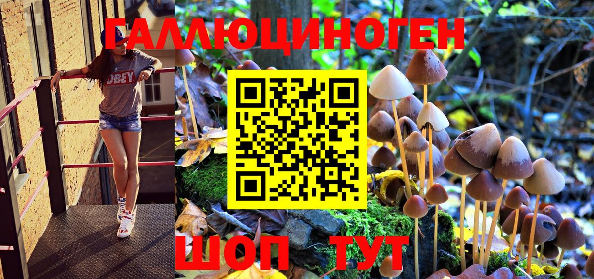 Псилоцибиновые грибы GOLDEN TEACHER  Вход с VPN  Таганрог  Псилоцибиновые грибы Cubensis 