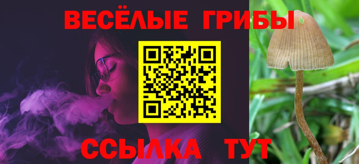 Галлюциногенные грибы MAGIC MUSHROOMS Таганрог